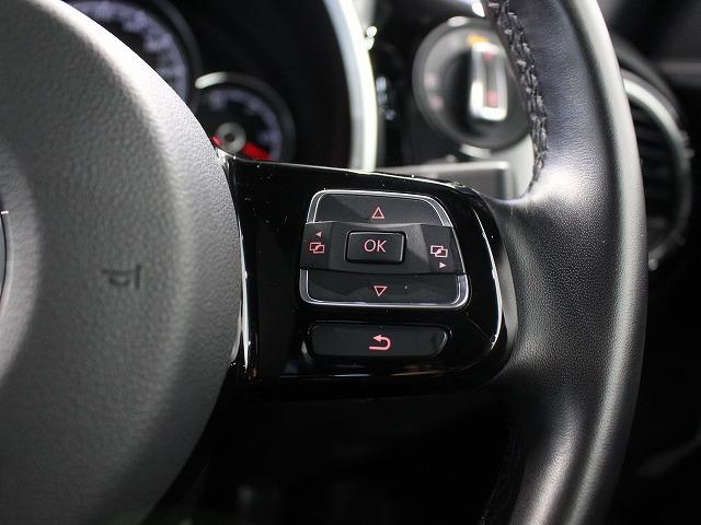 ザ・ビートル Ｒラインマイスター（19枚目）