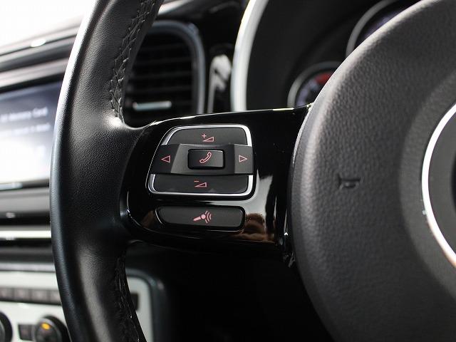 ザ・ビートル Ｒラインマイスター（20枚目）