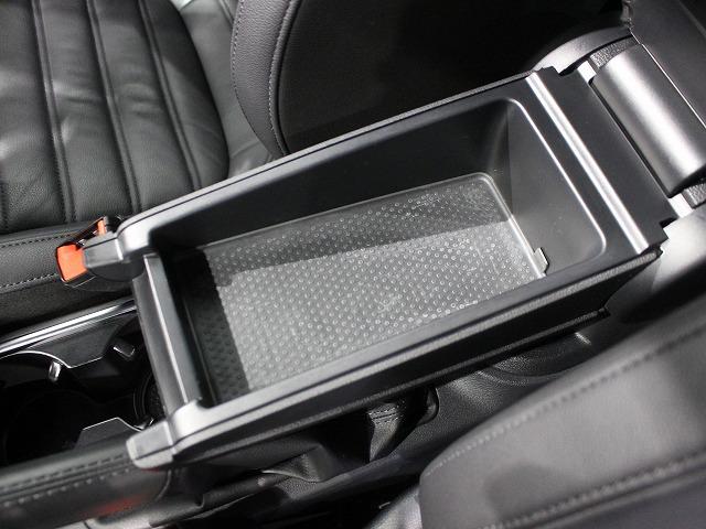 ザ・ビートル Ｒラインマイスター（31枚目）