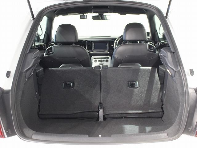 ザ・ビートル Ｒラインマイスター（40枚目）