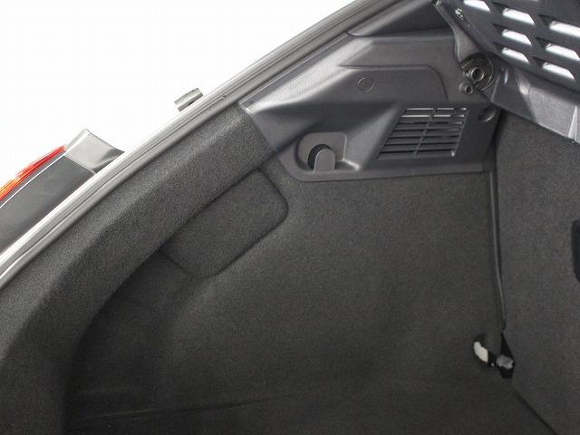 ザ・ビートル Ｒラインマイスター（42枚目）