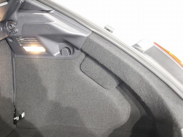 ザ・ビートル Ｒラインマイスター（43枚目）