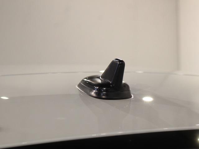 ザ・ビートル Ｒラインマイスター（44枚目）