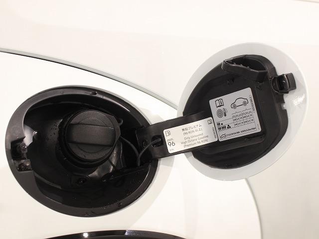 ザ・ビートル Ｒラインマイスター（45枚目）