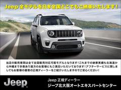  ١졼ɡҸǥ⥫ϥ顡쥶ȡȥҡȥ顼ϥɥҡ 9730855A30250511W004 3
