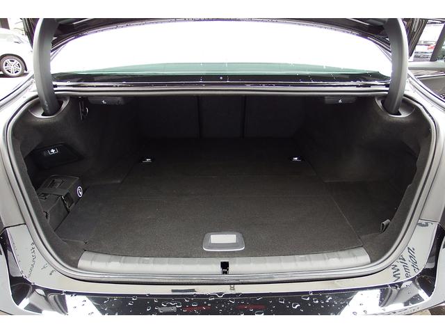 530eM-Sport試乗車Bレザー19AWHUPディスイ(19枚目)