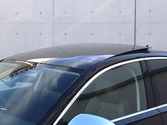 ӣ ١졼ɡȣĥޥȥꥯʥץƥ֥ɥ꡼磻ѡѡå 9730875A30251123W001 3