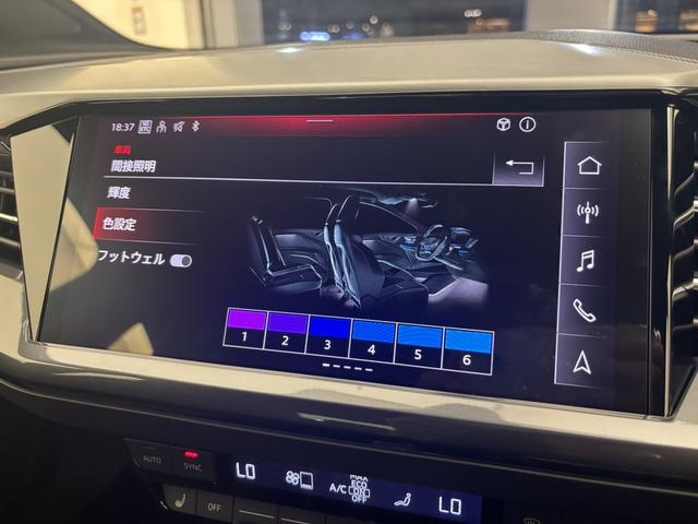 Ｑ４スポーツバック ｅ－トロン ４５ｅ－トロン　Ｓライン　ワンオーナー　ＳｌｉｎｅＰＫＧ　ＭＭＩナビゲーションプロ　ＴＶ　ブラックスタイリングＰＫＧ　ＳｌｉｎｅインテリアプラスＰＫＧ　バンパーフルペイント　ステアリングヒーター　ＡＣＣ　サイドアシスト　認中車（19枚目）