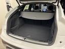 ４０ＴＤＩクワトロ　Ｓライン　ワンオーナー　ＳｌｉｎｅｐｌｕｓＰＫＧ　コンフォートＰＫＧ　プライバシーガラス　ＴＶチューナー　アダプティブクルーズコントロール　パーキングアシスト　アンビエントライティング　サイドアシスト　認中車（37枚目）