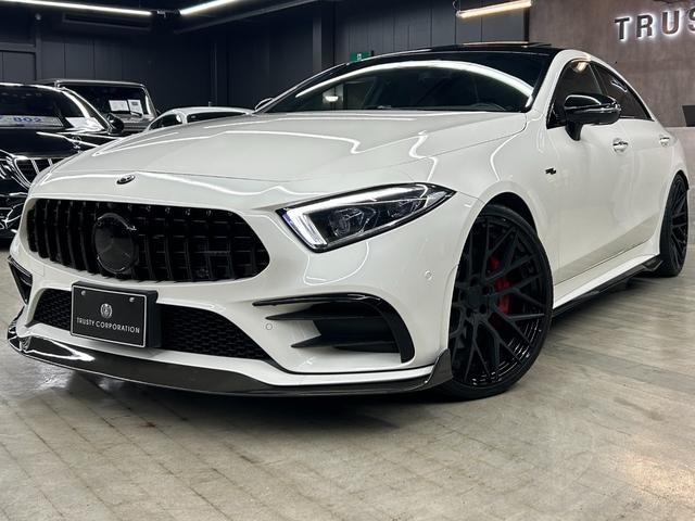 CLSクラス CLS53 4マチック+ ガレージ保管 BCフォージド21インチホイール ZACOEカーボンパーツ定価127万 ECUチューニング ローダウン パナメリカーナ レッドキャリパー シートヒーター ベンチレーター ブラックアウト(11枚目)