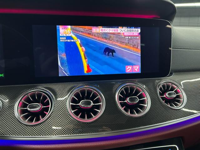 CLSクラス CLS53 4マチック+ ガレージ保管 BCフォージド21インチホイール ZACOEカーボンパーツ定価127万 ECUチューニング ローダウン パナメリカーナ レッドキャリパー シートヒーター ベンチレーター ブラックアウト(54枚目)