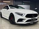 CLS53 4マチック+ ガレージ保管 BCフォージド21インチホイール ZACOEカーボンパーツ定価127万 ECUチューニング ローダウン パナメリカーナ レッドキャリパー シートヒーター ベンチレーター ブラックアウト(21枚目)