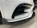 CLS53 4マチック+ ガレージ保管 BCフォージド21インチホイール ZACOEカーボンパーツ定価127万 ECUチューニング ローダウン パナメリカーナ レッドキャリパー シートヒーター ベンチレーター ブラックアウト(29枚目)