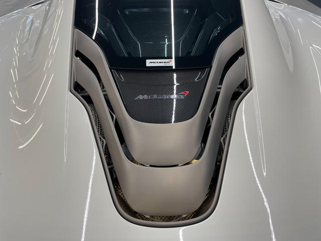 Ｐ１ ベースグレード　車両本体価格：２１０，０００，０００円、支払総額：２１０，４５０，０００円となっております。（41枚目）