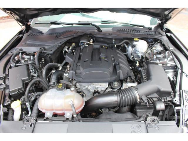 エコブーストプレミアム 2019yモデル 実走 走行証明書付(カーファックス・オートチェック) プレミアムプラスPKG ホイール&ストライプPKG AppleCarPlay&AndroidAuto(9枚目)