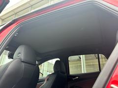 ե륯ǥϡλб®Իˤ⤤ͤ碌Ƥޤ 7