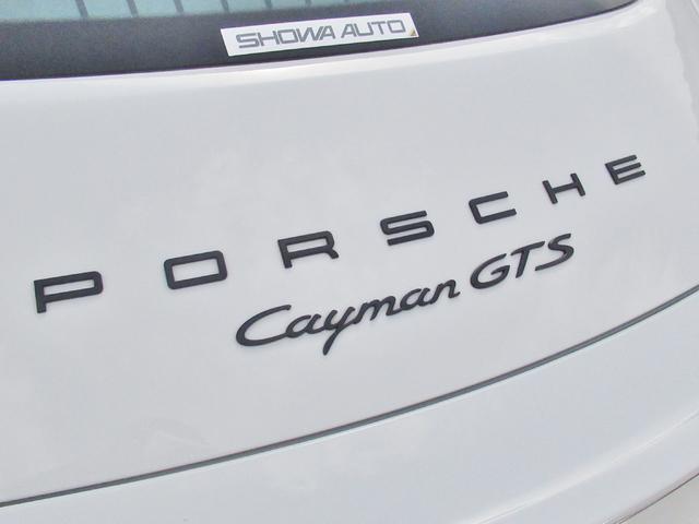 GTS PDK PTV カーボンインテリア(9枚目)