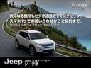 CHRYSLER JEEP JEEP RENEGADE 4xe