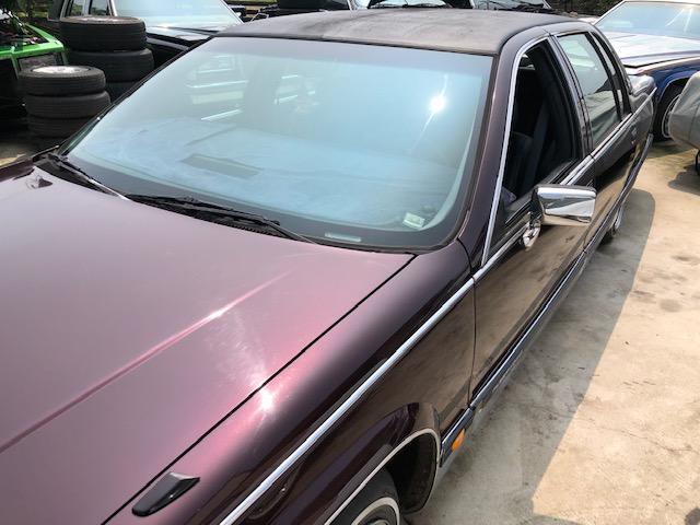 ディーラー車 8ナンバー 2P4B(5枚目)