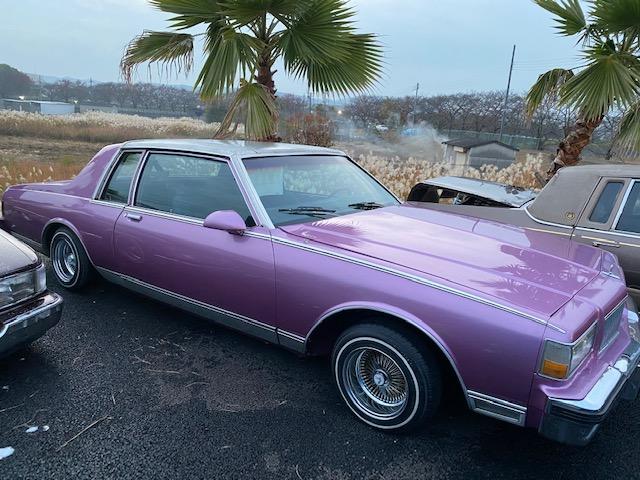 シボレー シボレーカプリス １９８６カプリスクーペ ８ナンバー事務室車 ２ｐ２ｂ セミレイン アッパーｅｘｔ １３ワイヤー 248 0万円 昭和61年 1986年 奈良県 中古車 価格 Com