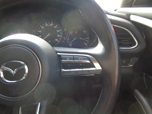 CX-30 XD Lパッケージ アラウンドビューモニター シートヒーター ステアヒーター 前後ドラレコ パワーバックドア メモリー付パワーシート 禁煙(20枚目)