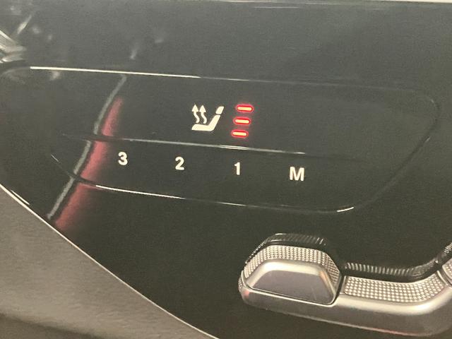 Ｅクラスオールテレイン Ｅ２２０ｄ　４マチック　オールテレイン　レザーシート・パノラミックスライディングルーフ・ヘッドアップディスプレイ（24枚目）