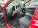 FIAT NEW PANDA