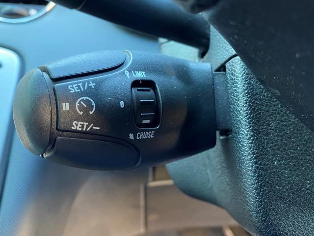 SW プレミアム メモリーナビ フルセグTV DVDプレーヤー Bluetooth ETC OZ17インチアルミホイール クルーズコントロール グラストップルーフ 保証書 取扱説明書 正規ディーラー車 3ヶ月保証(25枚目)
