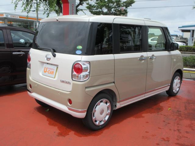 Xメイクアップリミテッド SA3 ストライプカラー 4WD(4枚目)