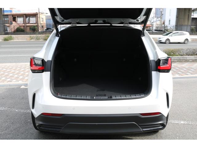 ＮＸ ＮＸ２５０　バージョンＬ　ワンオーナー　純正ナビ　フルセグ　赤革シート　ルーフレール　パワーバックドア　ＬＥＤヘッド　ヘッドアップディスプレイ　クルコン　プリクラ　パドルシフト　レーンキープ　ＢＳＭ　デジミラ　ハンドルヒーター（31枚目）