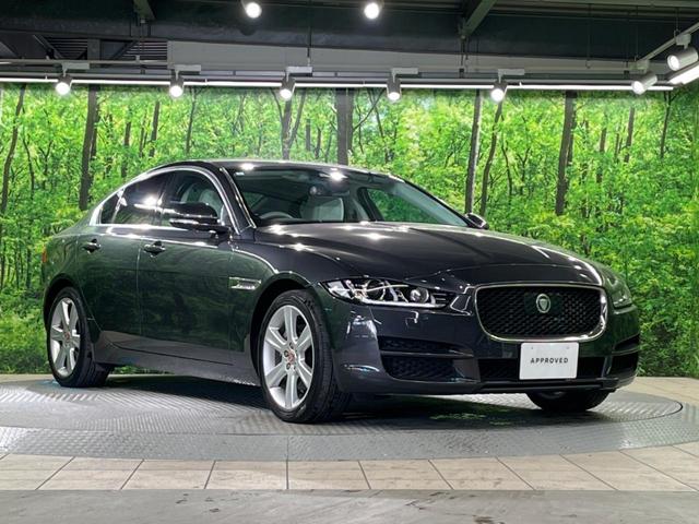 ＸＥ ＸＥ　プレステージ　認定中古車　ブラインドスポットモニター　前席シートヒーター　アダプティブクルーズコントロール　メモリーシート　フルセグＴＶ　ＭＥＲＩＤＩＡＮサウンドシステム　パドルシフト　電動調整ステアリング（19枚目）