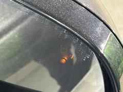 ֥饤ɥݥåȥ˥غФʿԤ֤ǧѹκݤ˴Τȥɥ饤Сطٹ¥ޤ롦ȥͥʤԻδĶۤؤˤʤ֤Ǥ 5