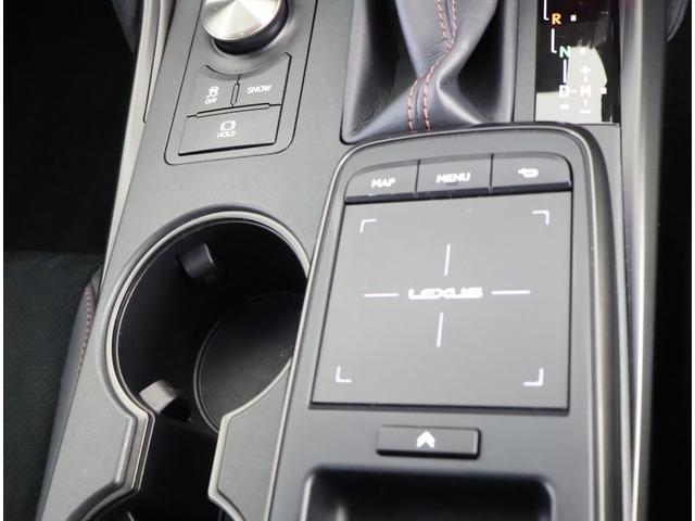 IS IS500Fスポツパフォーマンスファストエディション ワンオーナー 認定車両 ファーストエディション チタニウムカーバイトグレー 内装ブラック ムーンルーフ(13枚目)