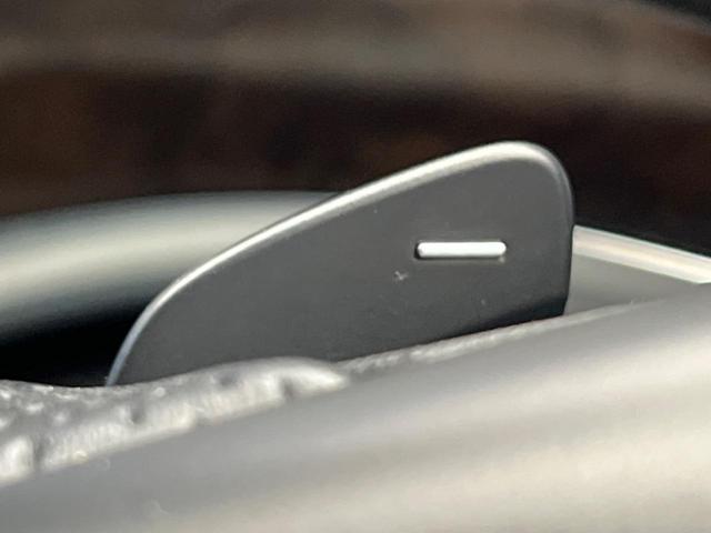 V260 ロング 特別仕様車 250台限定 レーダーセーフティPKG 革シート 純正ナビ Bluetooth 全周囲カメラ フルセグTV シートヒーター パワーバックドア LEDヘッド 禁煙車(51枚目)