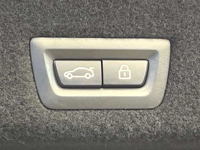 7シリーズ 740i Mスポーツ サンルーフ オプション20インチアルミ ドライビングアシストプラス パーキングアシスト ブラックナッパレザーシート 前席シートエアコン・パワーシート 全席シートヒーター 全ドアソフトクローズ 禁煙車(48枚目)