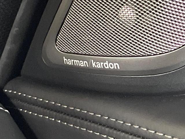 7シリーズ 740i Mスポーツ サンルーフ オプション20インチアルミ ドライビングアシストプラス パーキングアシスト ブラックナッパレザーシート 前席シートエアコン・パワーシート 全席シートヒーター 全ドアソフトクローズ 禁煙車(72枚目)