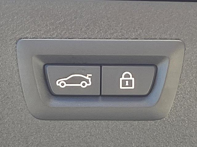 Ｘ６ ｘＤｒｉｖｅ　３５ｉ　Ｍスポーツ　セレクトパッケージ　サンルーフ　全席シートヒーター　赤革シート　前席パワーシート　レーダークルーズコントロール　バックカメラ　純正２０インチアルミ　コンフォートアクセス　プライバシーガラス　禁煙車（49枚目）