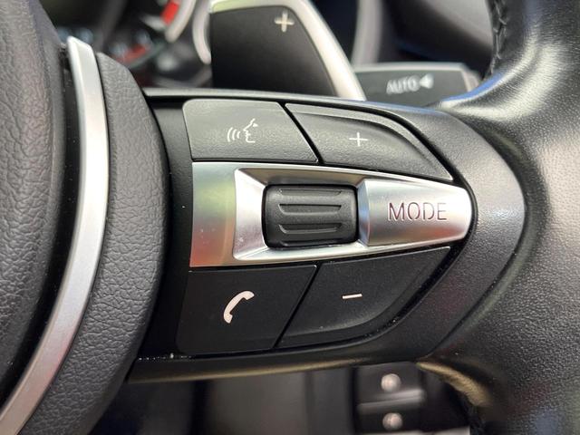 Ｘ６ ｘＤｒｉｖｅ　３５ｉ　Ｍスポーツ　セレクトパッケージ　サンルーフ　全席シートヒーター　赤革シート　前席パワーシート　レーダークルーズコントロール　バックカメラ　純正２０インチアルミ　コンフォートアクセス　プライバシーガラス　禁煙車（60枚目）