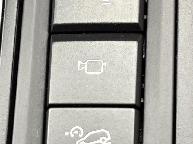 Ｘ６ ｘＤｒｉｖｅ　３５ｉ　Ｍスポーツ　セレクトパッケージ　サンルーフ　全席シートヒーター　赤革シート　前席パワーシート　レーダークルーズコントロール　バックカメラ　純正２０インチアルミ　コンフォートアクセス　プライバシーガラス　禁煙車（70枚目）