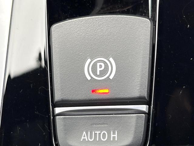 ５シリーズ ５３０ｉ　Ｍスポーツ　全周囲カメラ　革シート　全席シートヒーター　パワーバックドア　パドルシフト　ハイビームアシスト　アンビエントライト　純正１９インチＡＷ　Ｍスポーツサスペンション　ＣＤ／ＤＶＤ再生　地デジＴＶ　禁煙車（66枚目）