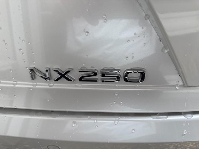ＮＸ ＮＸ２５０ワンオーナー禁煙車　同色純正フェンダーアーチモール　赤／黒内装・Ｆスポーツ純正２０インチホイール・ヘッドアップディスプレイ・ムーンルーフ・純正１４インチモニターナビＴＶ・純正ドライブレコーダー・デジタルインナーミラー・ＴＶキャンセラー付・カードキー（69枚目）