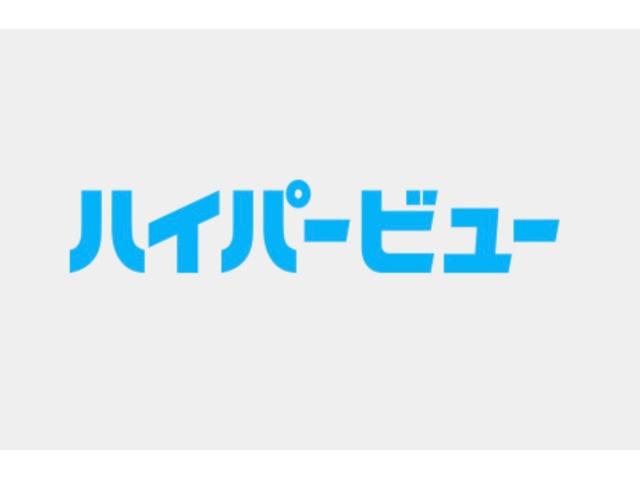 ＧＴｉ２５０　ｂｙプジョースポール　ドラレコ　バックカメラ　ＥＴＣ　２４．２ミシュランＰＳＳ４本交換(41枚目)