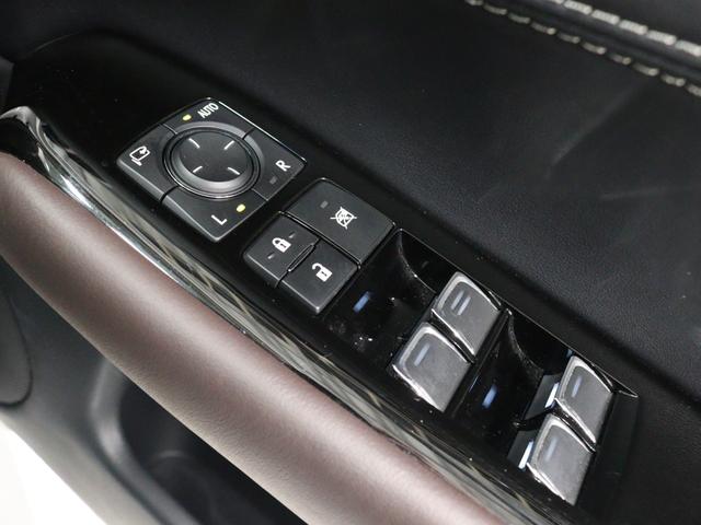 ＧＳ ＧＳ３００ｈ　Ｉパッケージ（20枚目）