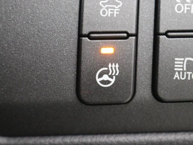 GS GS300h Iパッケージ(24枚目)