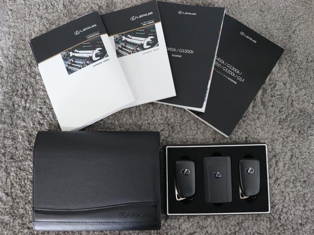 GS GS300h Iパッケージ(30枚目)