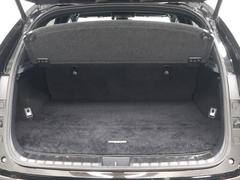 �Σ� �Σأ����������ƥ��ݡ��ġ��ѥ�Хå��ɥ��������̥���顡�ե���ȥɥ饤�֥쥳������ 9731160A30251215W001 6