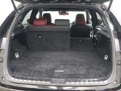 �Σ� �Σأ����������ƥ��ݡ��ġ��ѥ�Хå��ɥ��������̥���顡�ե���ȥɥ饤�֥쥳������ 9731160A30251215W001 7