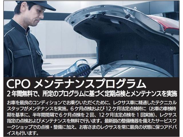 ＮＸ ＮＸ３００　Ｉパッケージ　レーダークルーズコントロール　衝突軽減ブレーキ　シートヒーター　ハンドルヒーター　パワーバックドア　１０．３インチワイドナビゲーション　バックカメラ　サイドカメラ（26枚目）