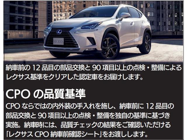 ＲＸ ＲＸ３００　バージョンＬ　リアエンターテイメントシステム　両側リアビジョン　パノラマルーフ　ルーフレール　全方位カメラ　レーダークルーズコントロール　ヘッドアップディスプレイ（21枚目）