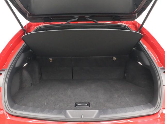 ＵＸ ＵＸ２５０ｈ　バージョンＣ　パノラミックビューモニター　ブラインドスポットモニター　パーキングサポートブレーキ　スペアタイヤ　オプションカラーアルミホイール（6枚目）